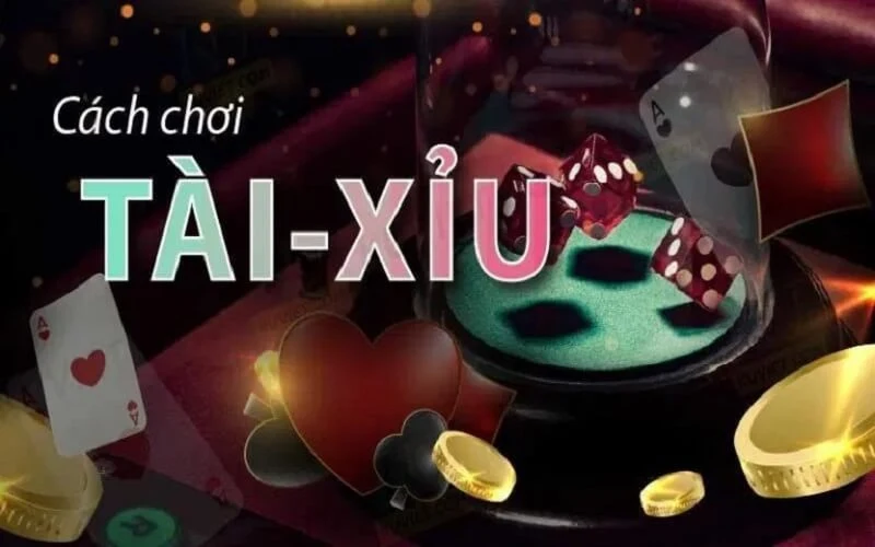 Soi cầu bệt trong cách chơi tài xỉu